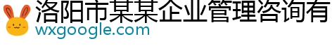 洛阳市某某企业管理咨询有限公司